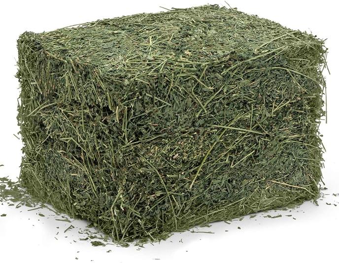 content/products/Alfalfa bales for horses and livestock can be an excellent source of calories for those who need help in gaining weight, or whose exercise demands require additional energy sources.   Alfalfa hay offers an excellent source of protein, vitamin A, and calcium levels that can reduce the risk of stomach ulcers.