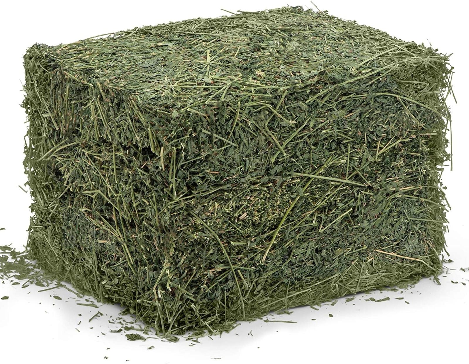 Alfalfa bales for horses and livestock can be an excellent source of calories for those who need help in gaining weight, or whose exercise demands require additional energy sources.   Alfalfa hay offers an excellent source of protein, vitamin A, and calcium levels that can reduce the risk of stomach ulcers.