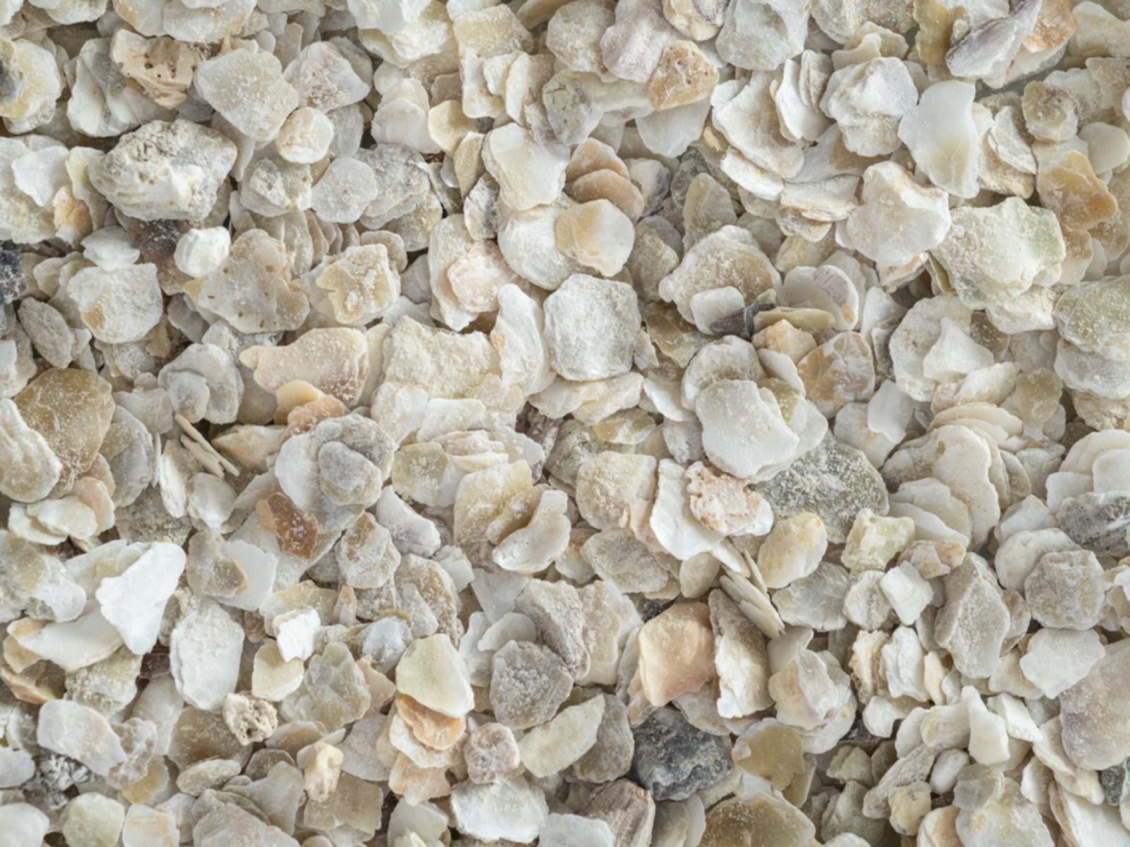 Topflite_CD_OysterShellCoarseGrit_Macro_LR