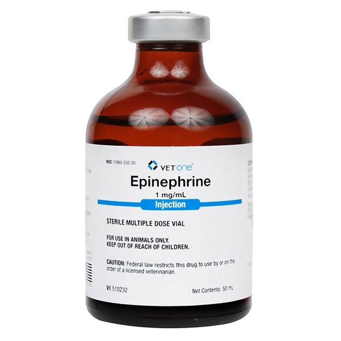 content/products/epinephrine-injection-1-1000-sterile-multi-dose-vial-50-ml-46