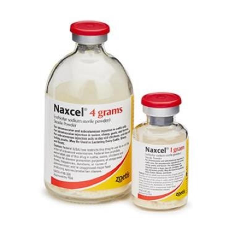 Naxcel-Product-Shot