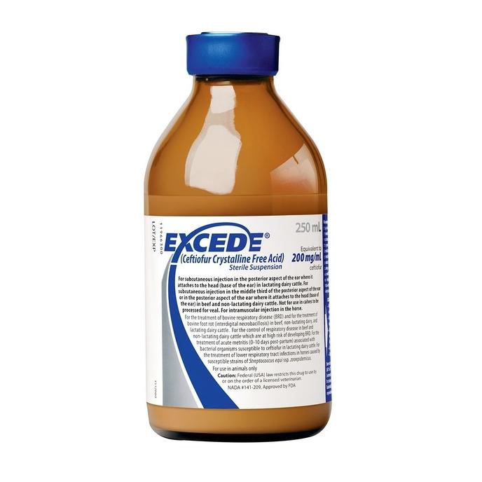 content/products/EXCEDE 250ML (RX)