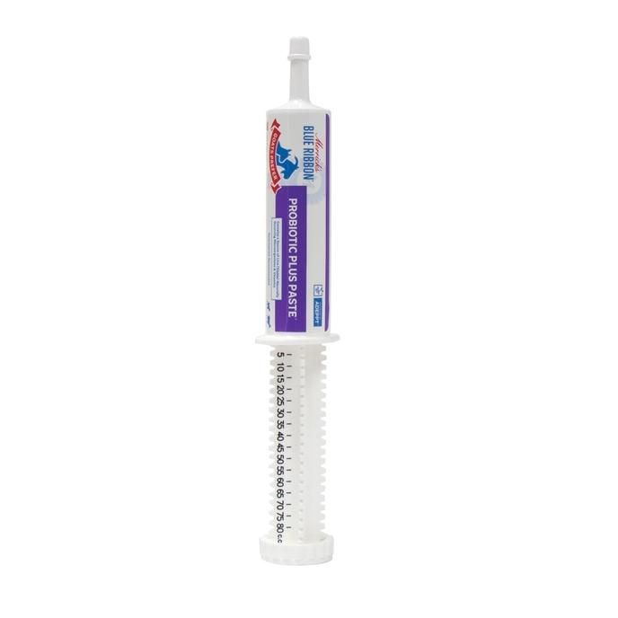 content/products/85410_MBR_GP_Probiotic-Plus-Paste_80ml-1024x1024