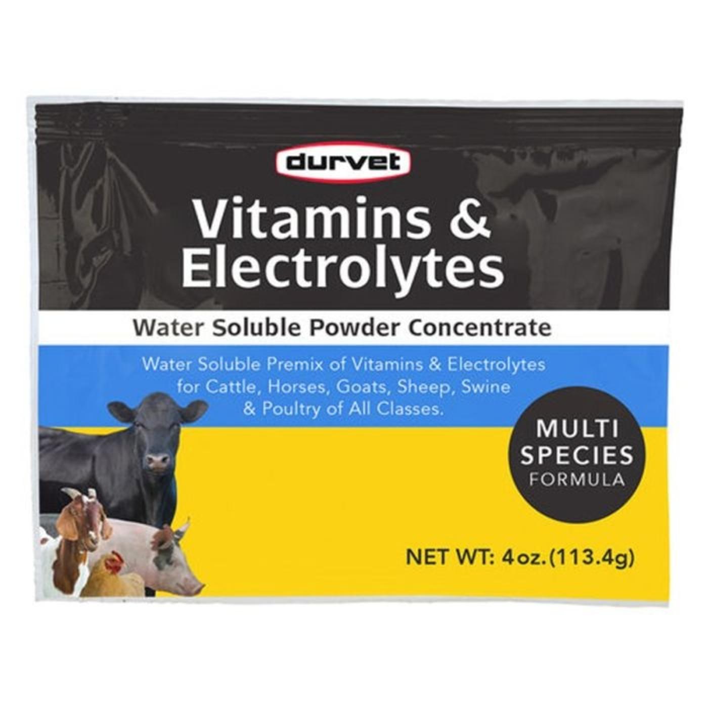 vitamins_electrolytes_concentrate_4_oz_