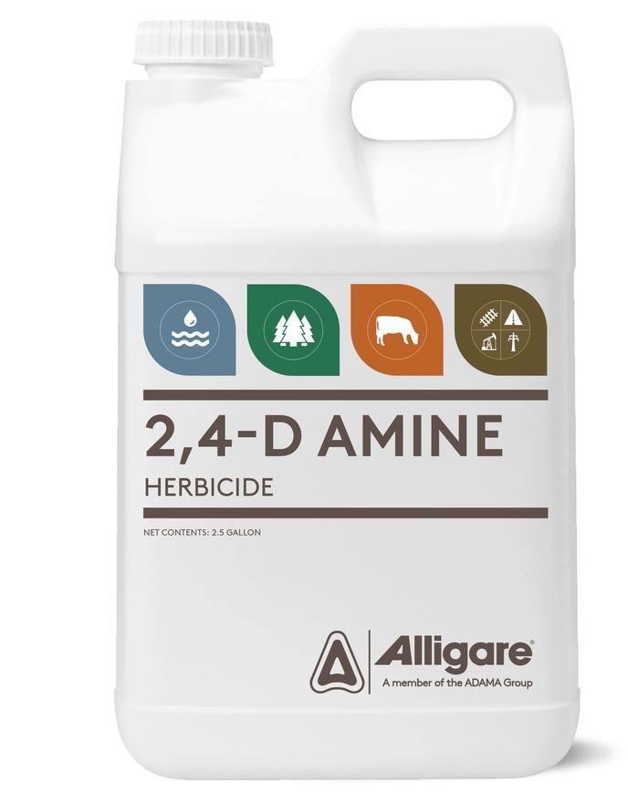 content/products/24-D-AMINE-full-color-BOTTLE_utility-grey