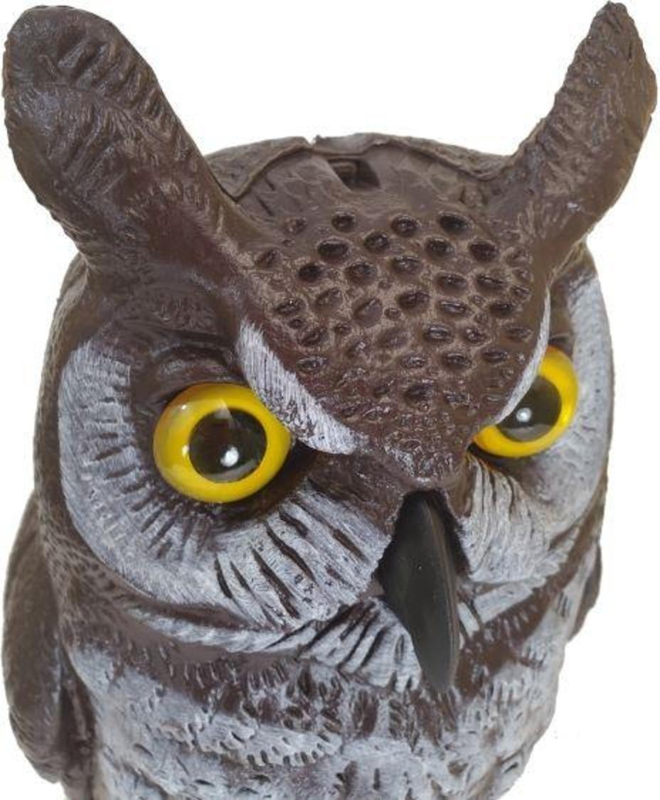 fake-owl-for-scaring-birds_2048x