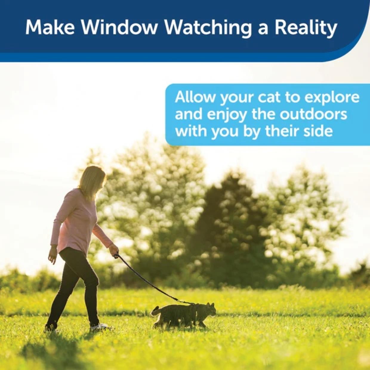 make window watching a reality