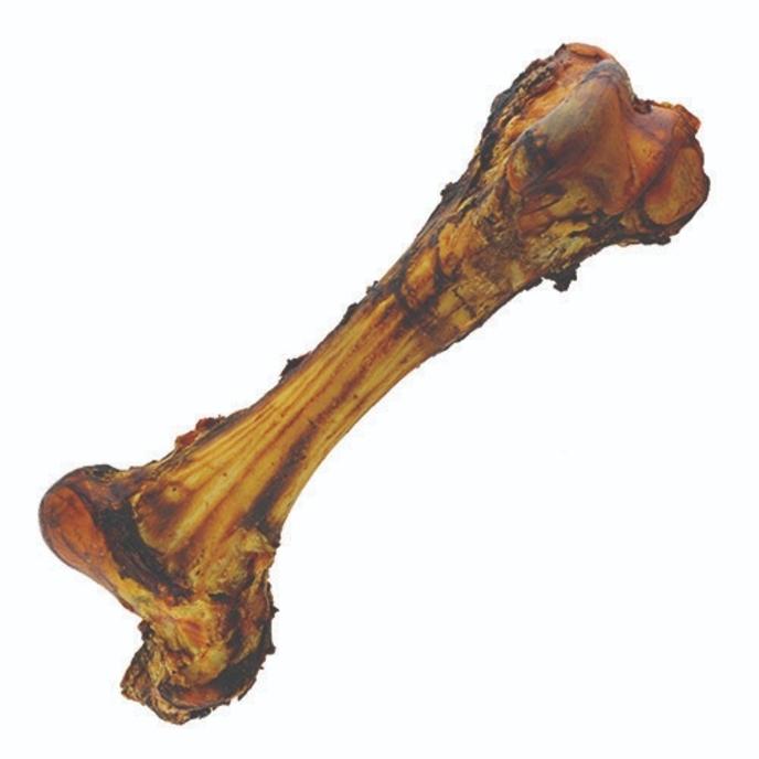 content/products/JumboBone-500x500-1