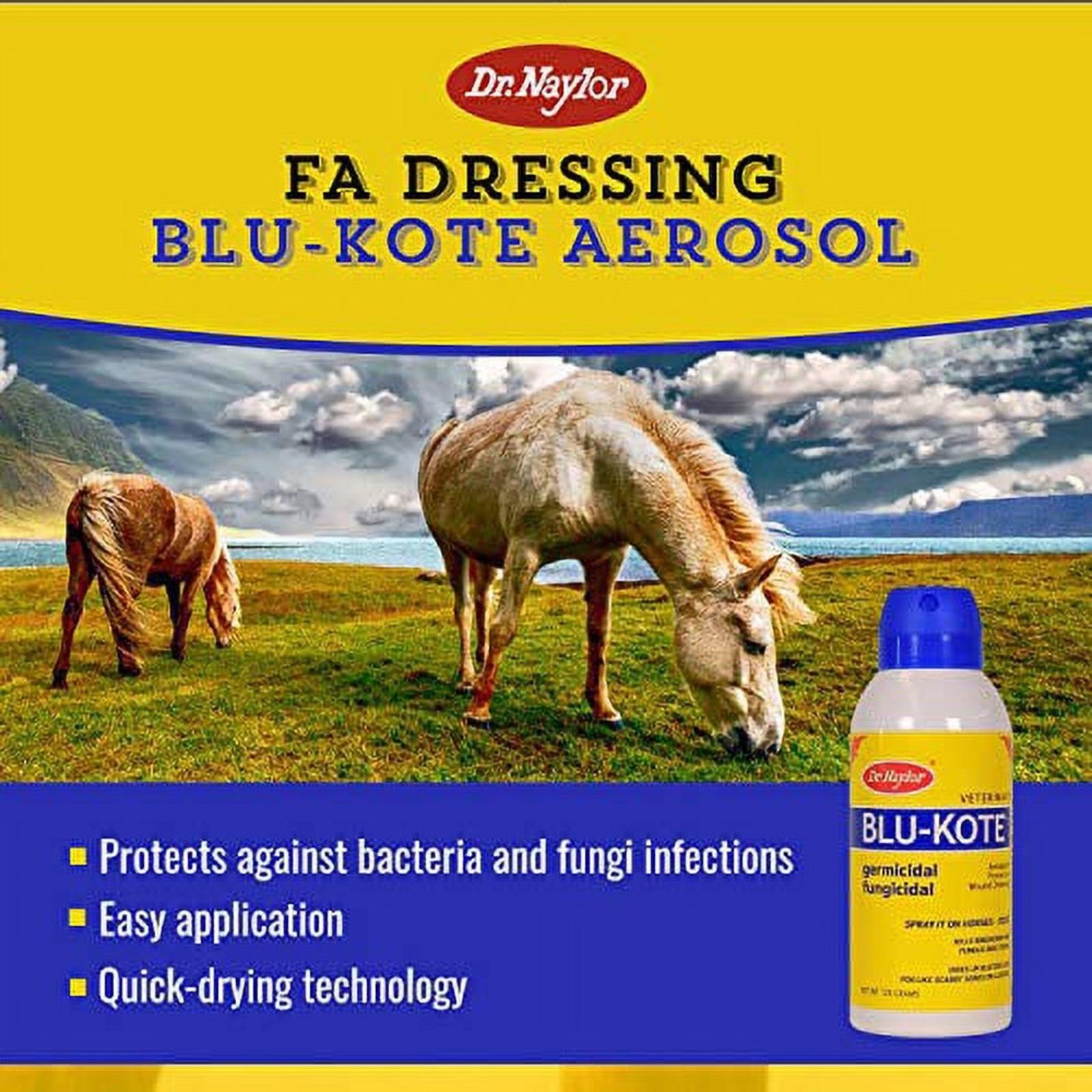 horse blu kote 