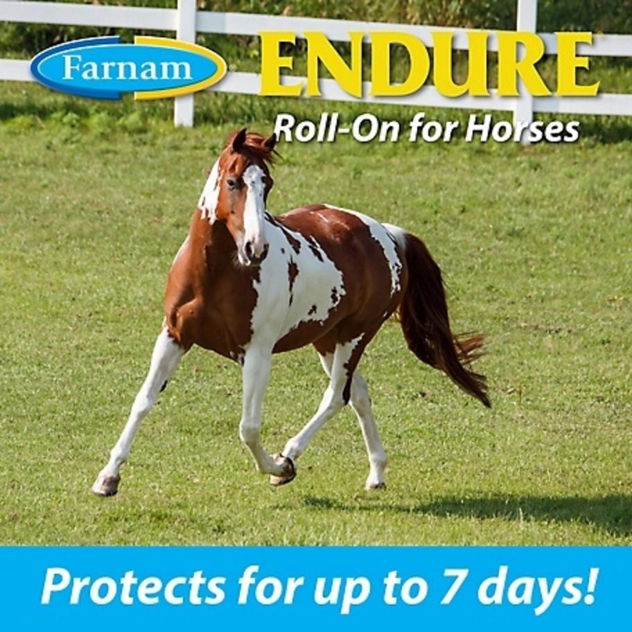 protect up to 7 days endure roll on 