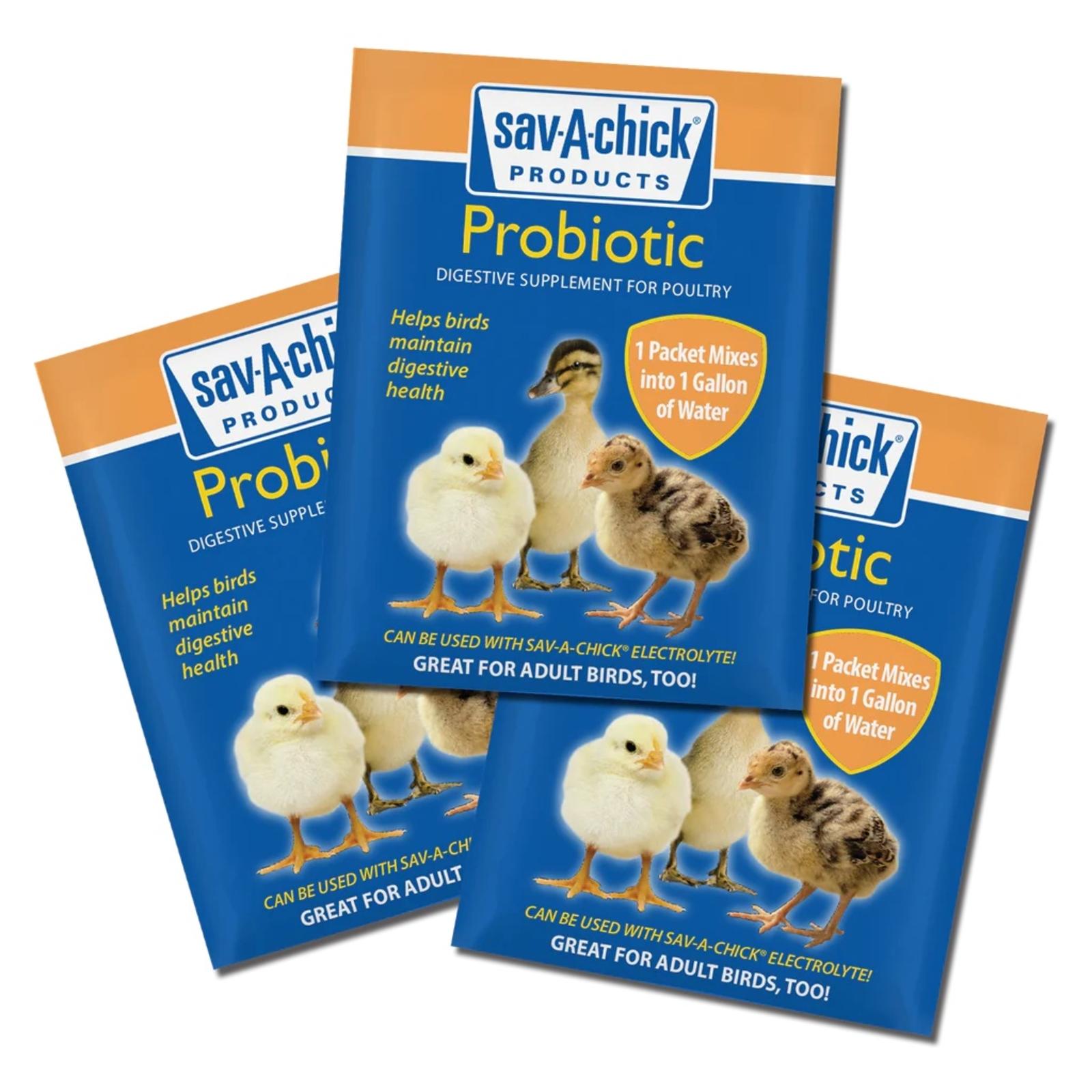 SAV A CHICK PROBIOTIC 3 X .17 OZ