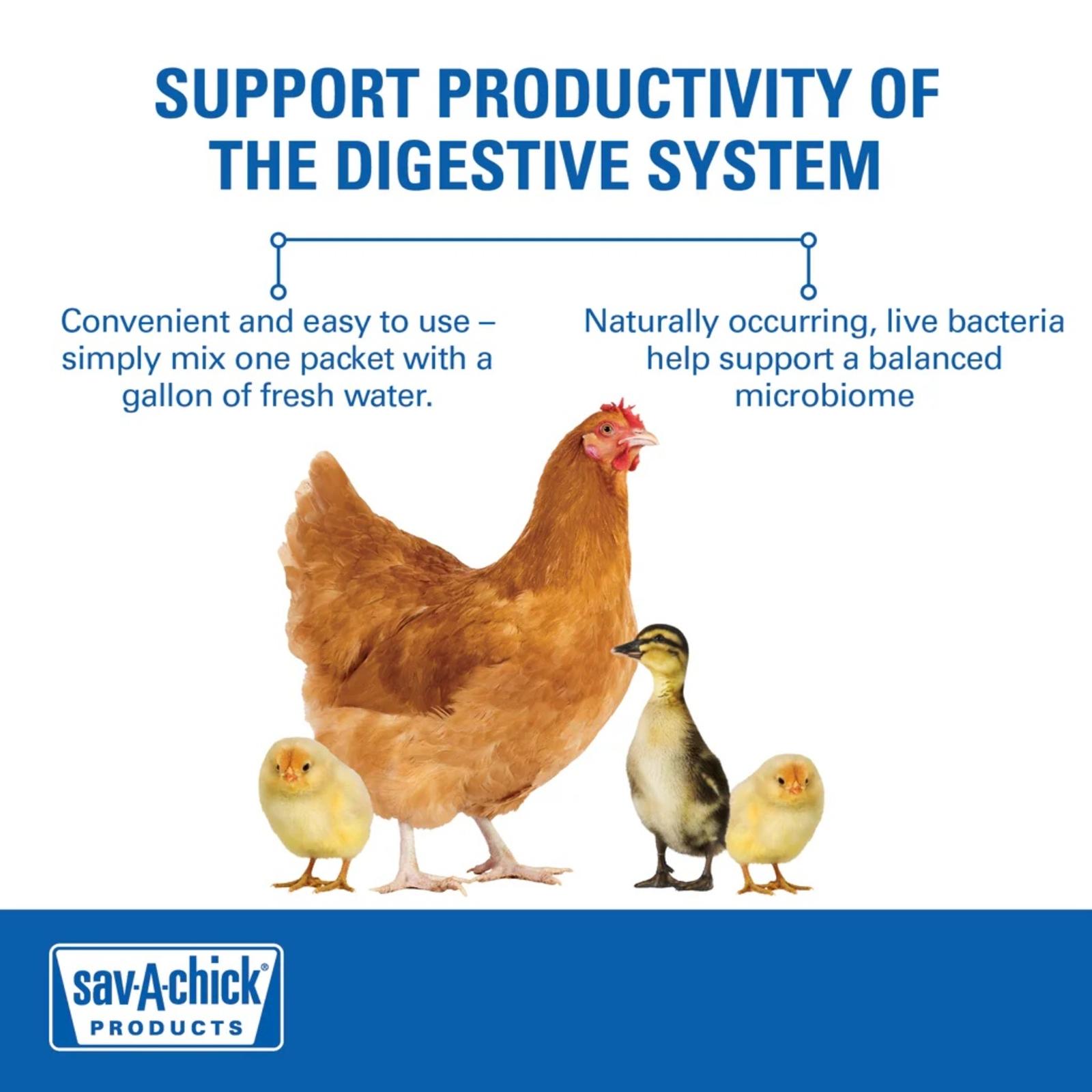 ChickProbioticSupplement_AnimalBenefitGraphic-2rev_1024x1024