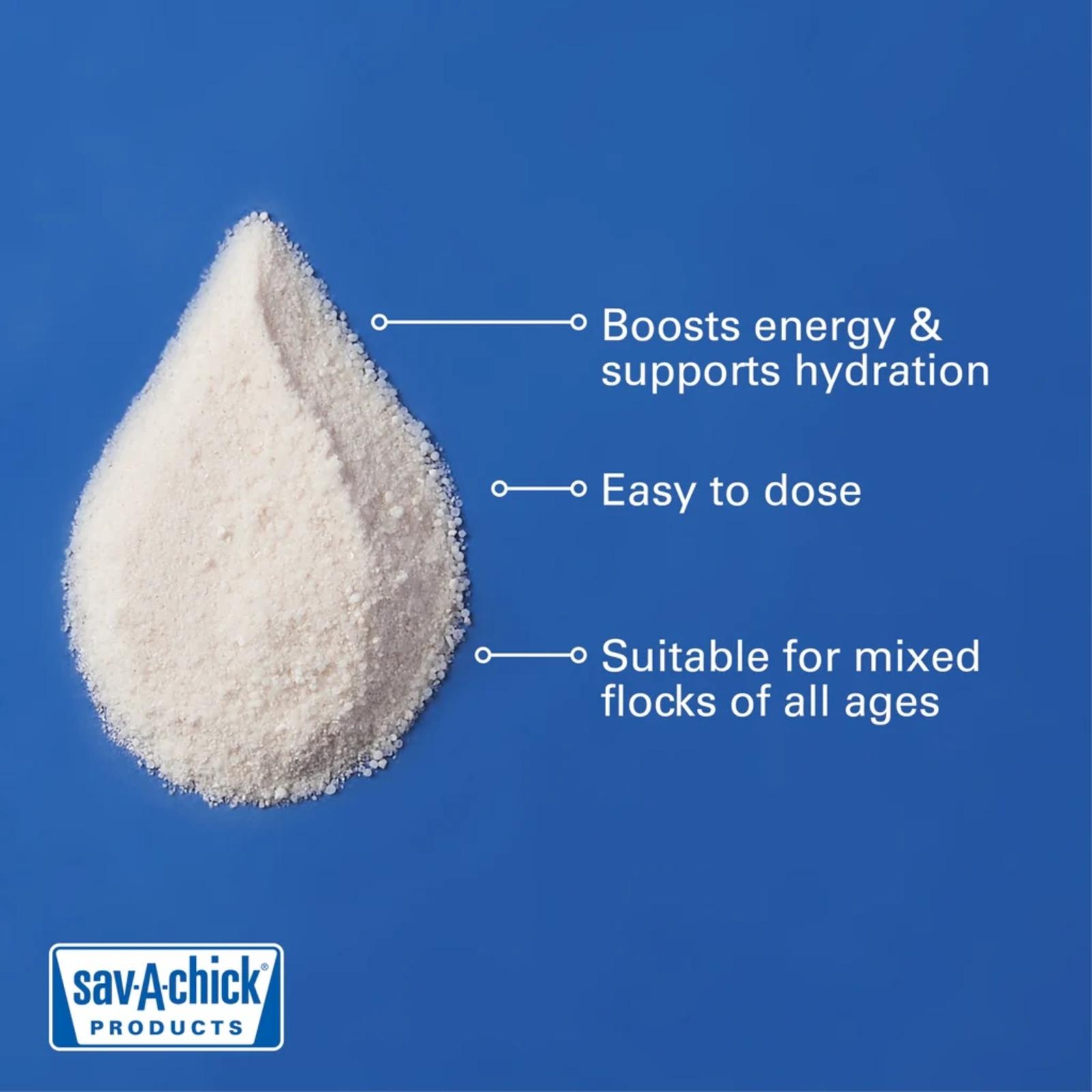 ChickElectrolyteSupplement_PowderBenefitGraphic_1024x1024