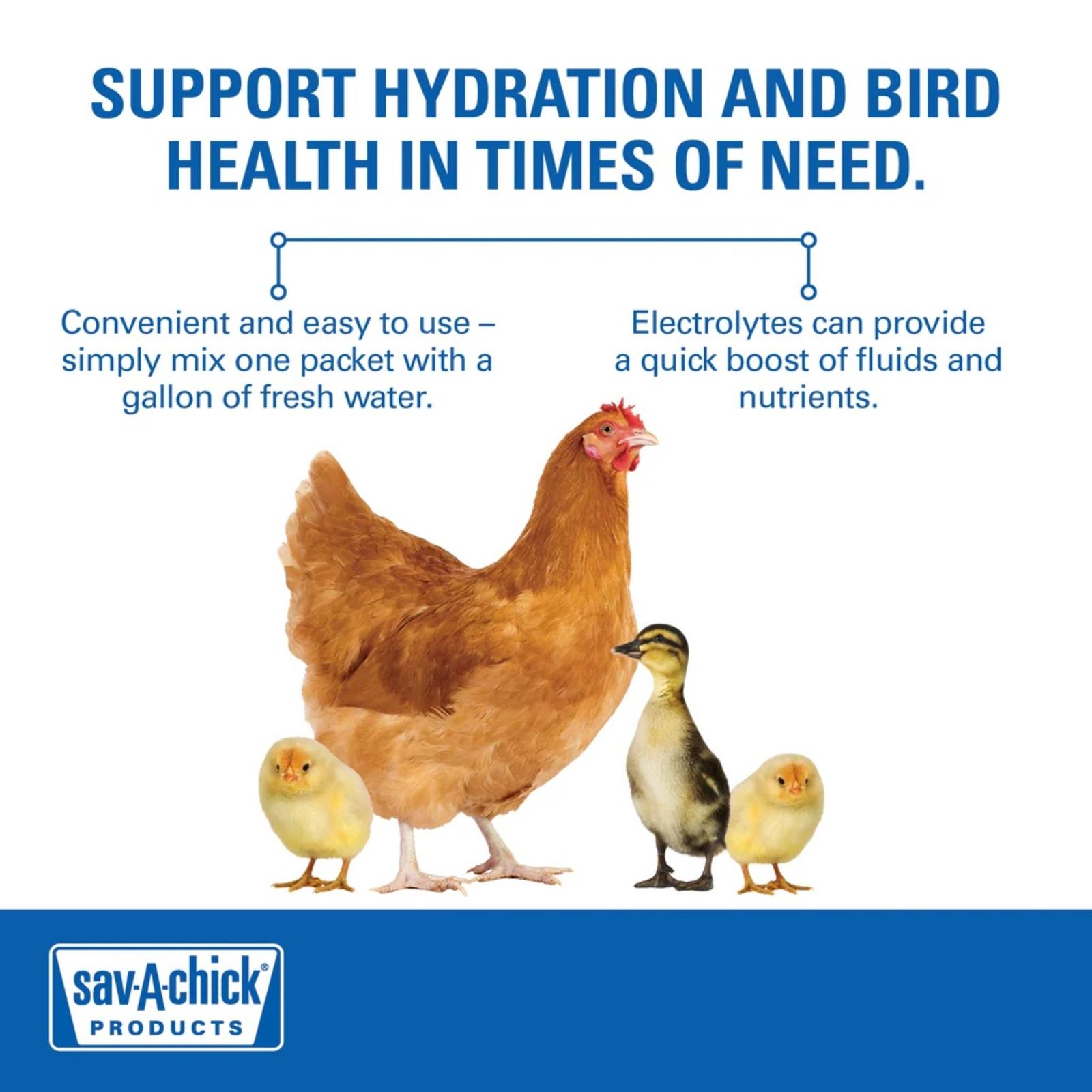 Sav-A-Chick_ElectrolyteandVitaminSupplement_AnimalBenefitGraphic-2_1024x1024