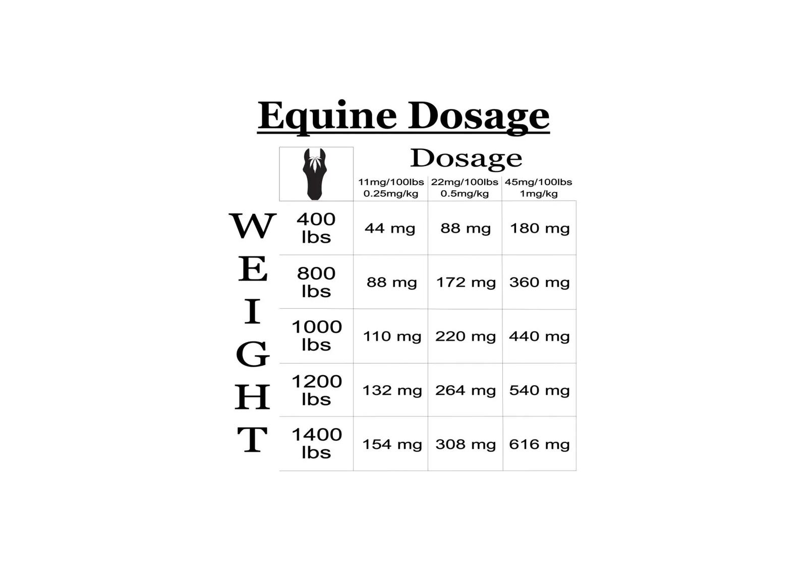 equine-dosage-scaled