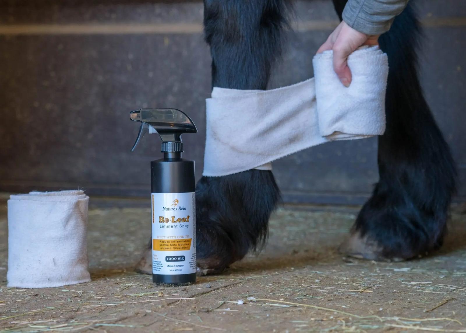 NATURES REIN RELEAF LIN SPRAY with horse