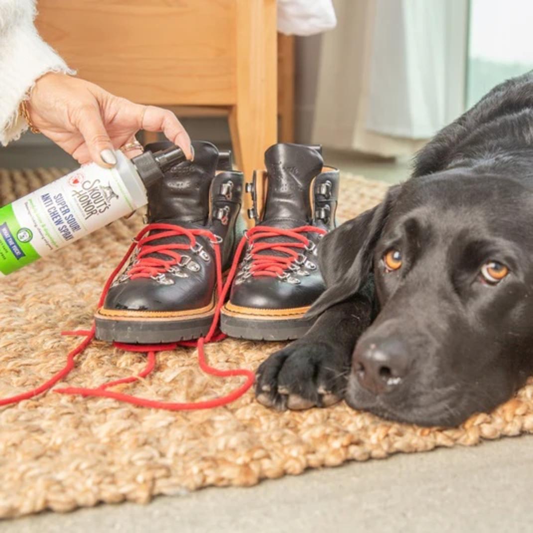 Left_Right_Training_Aids