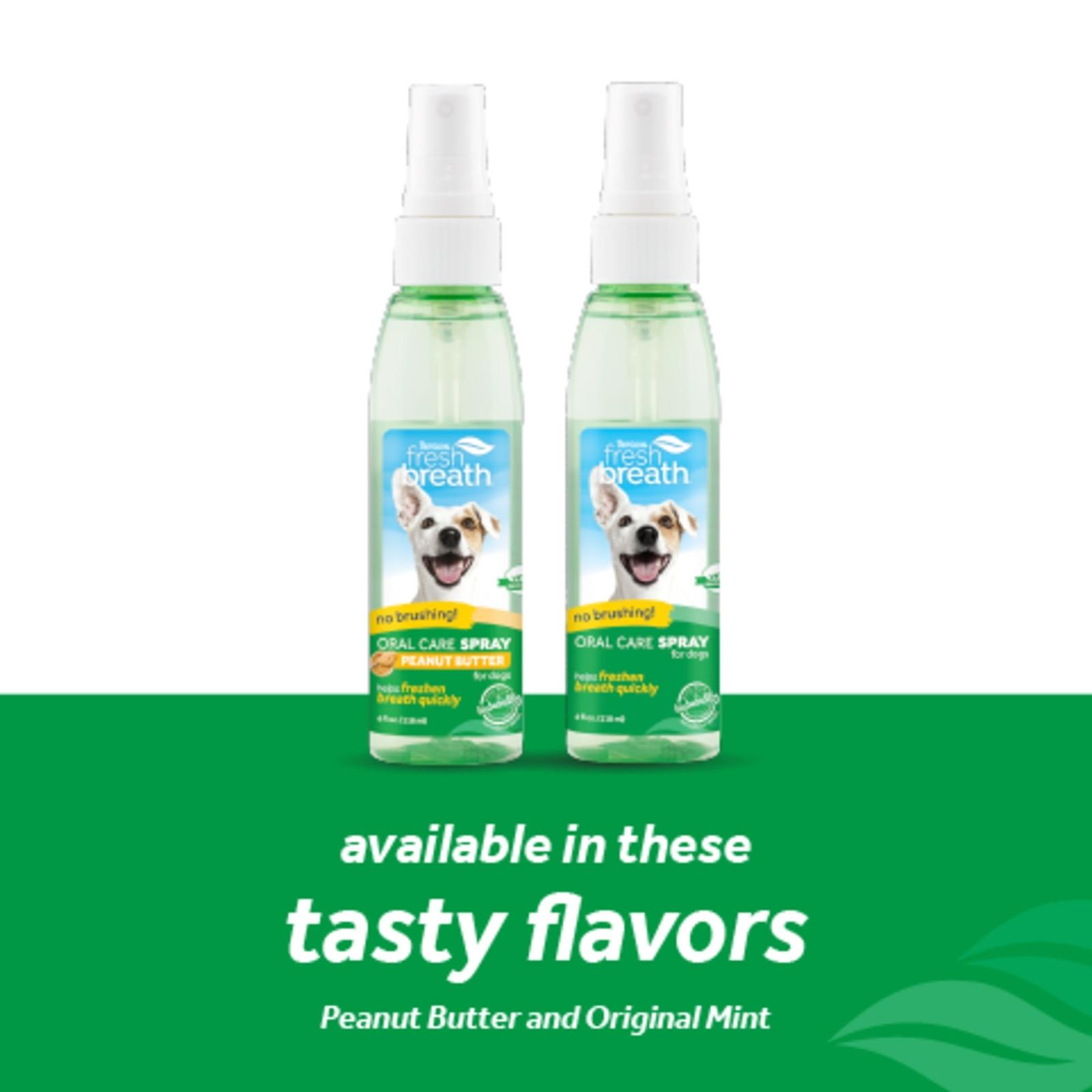 available in tastey flavors FRESH BREATH ORAL CARE SPRAY