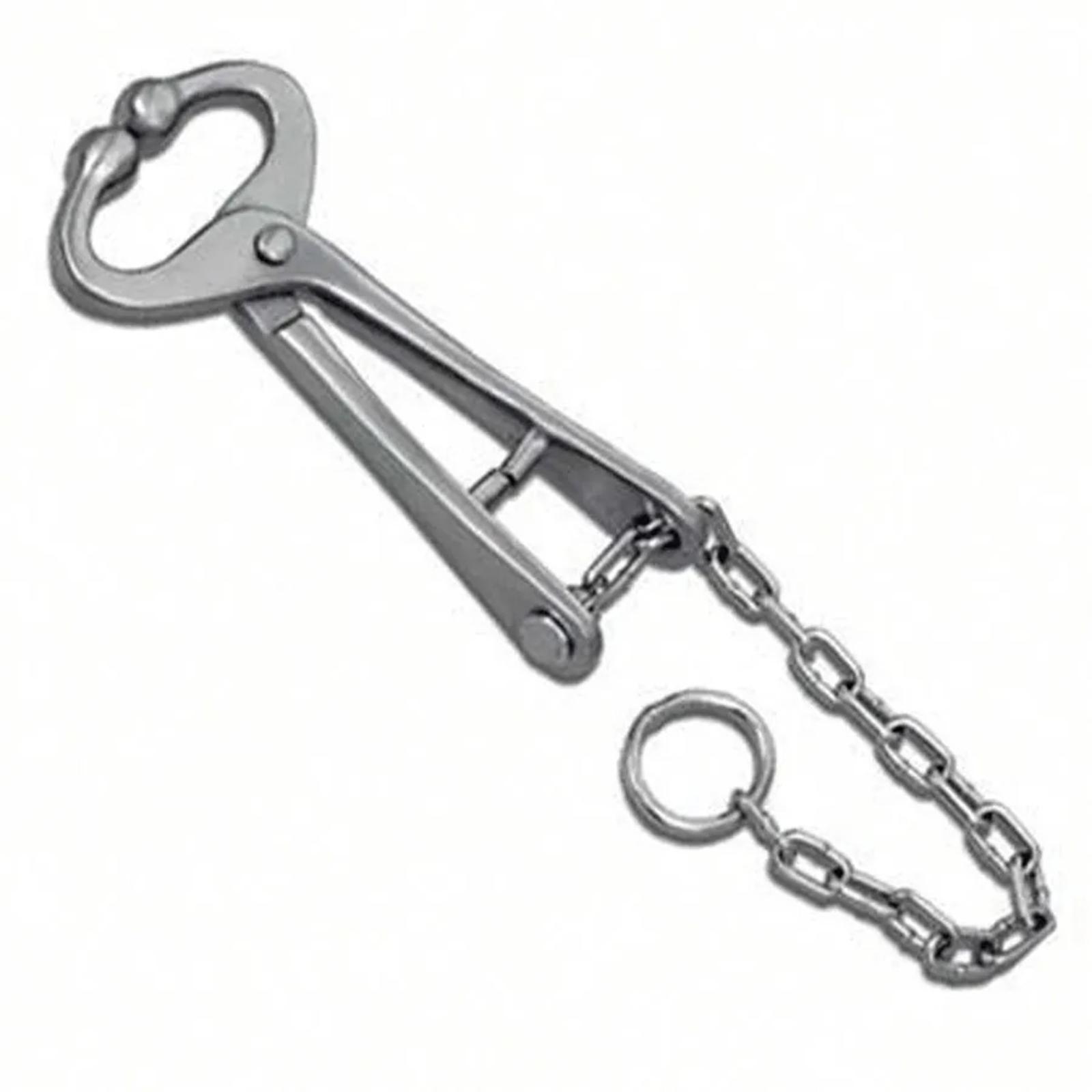 BA_agripro_bull_chain_lead_49670