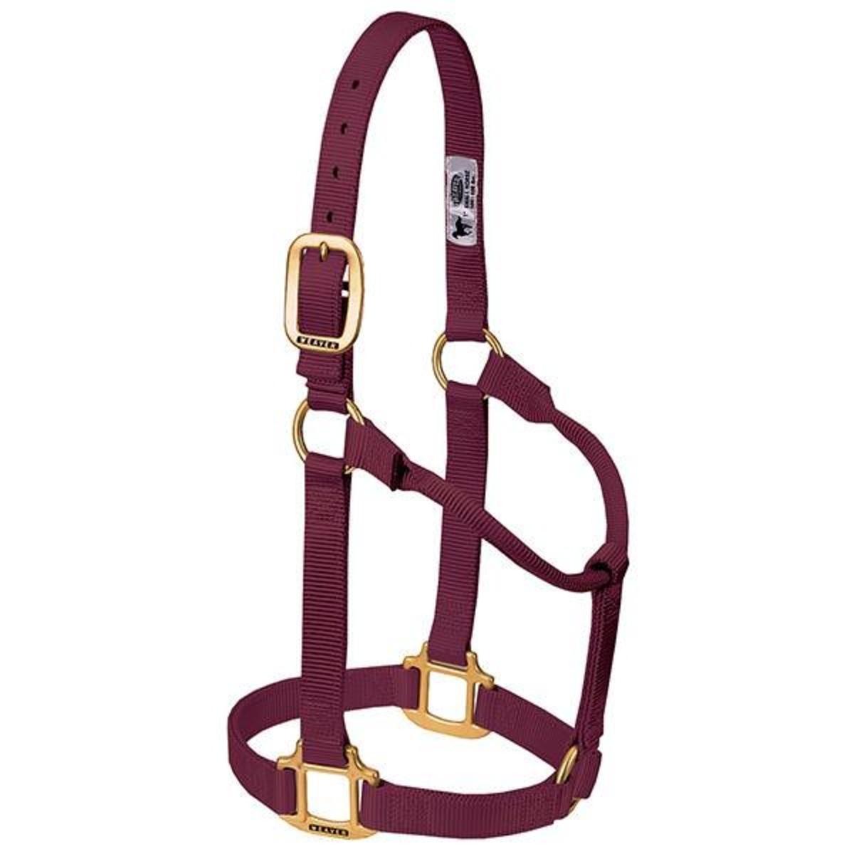 NON ADJ HALTER 1 BURGUNDY