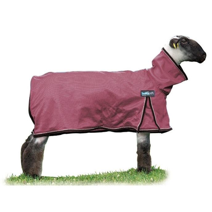 content/products/SHEEP BLANKET PROCOOL Mauve