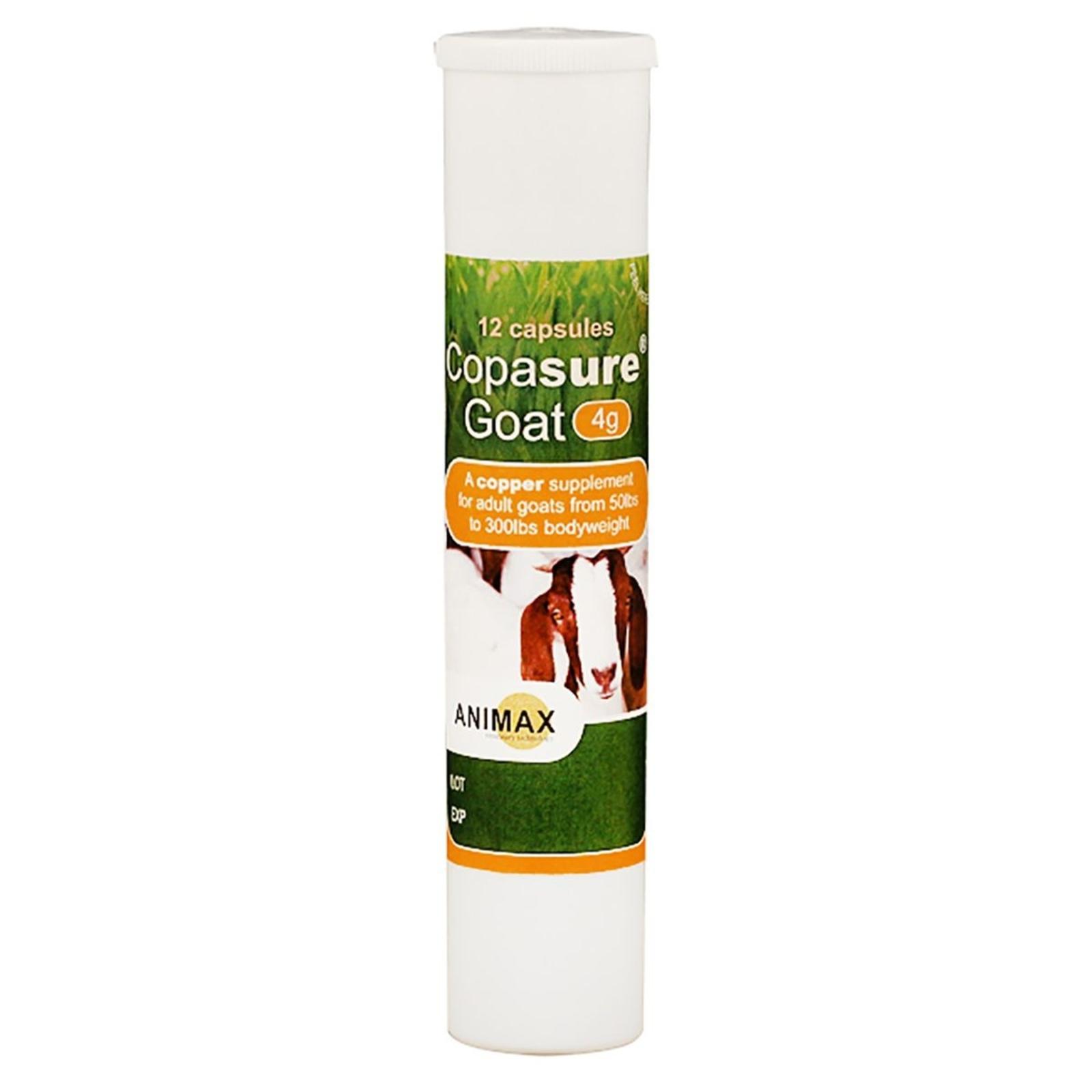 COPASURE SHEEP & GOAT BOLUS 4 GM