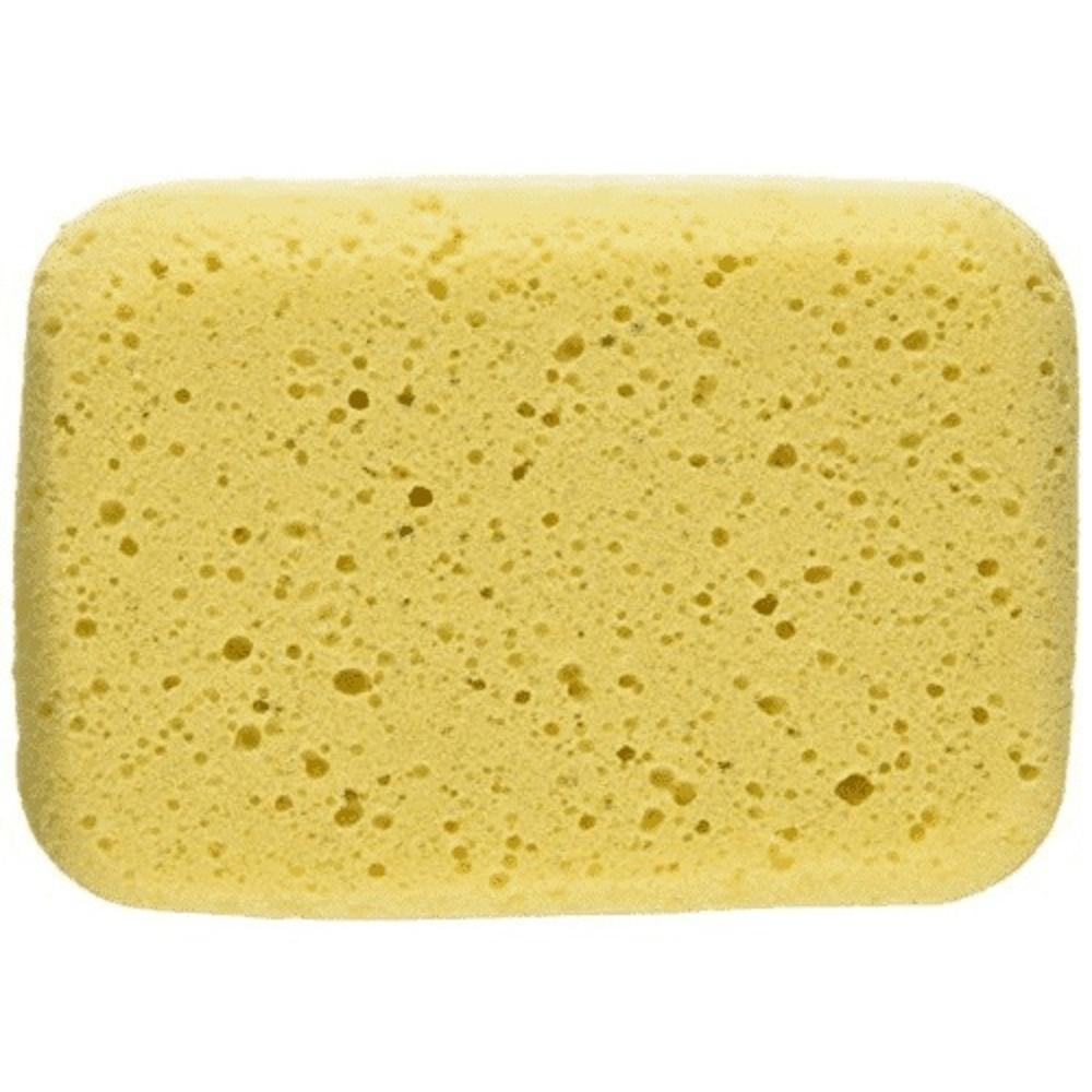 BODY SPONGE