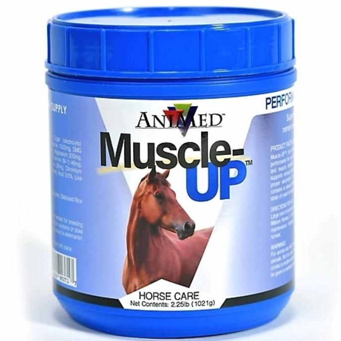 content/products/MUSCLE UP POWDER ANIMED 2.25#