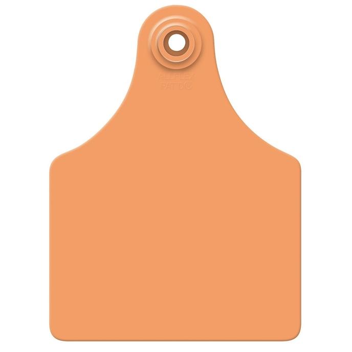 content/products/orange