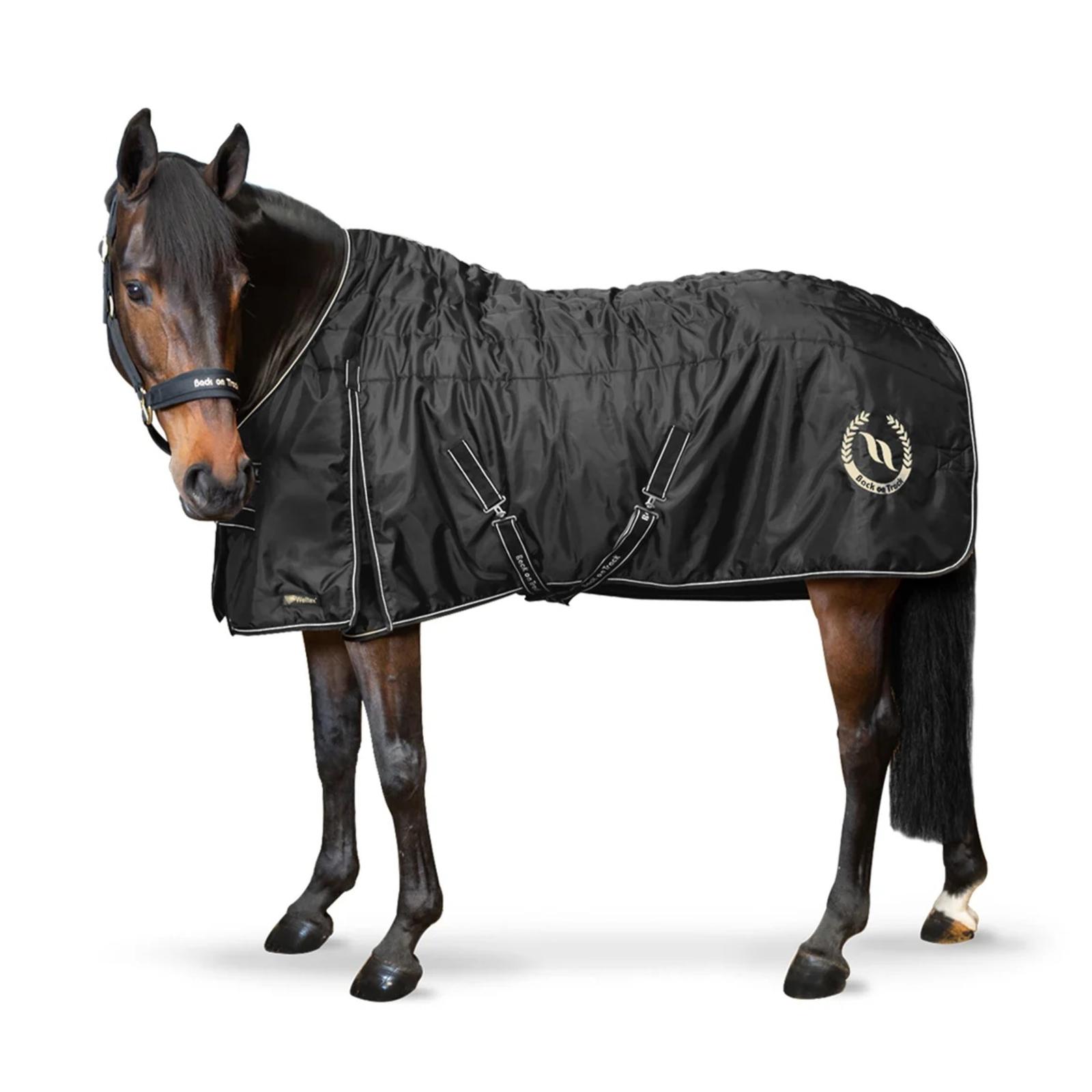 2187_Back_on_Track_Millie_Therapeutic_Horse_Stable_Blanket_Lifestyle_1160x_crop_center