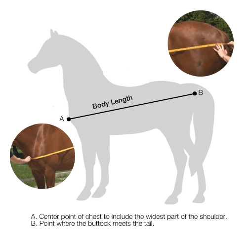 backontrackusa-1676934477505