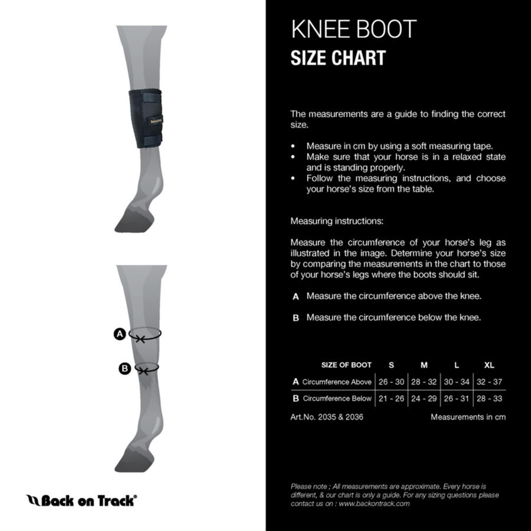 backontrackusa-1694086754994