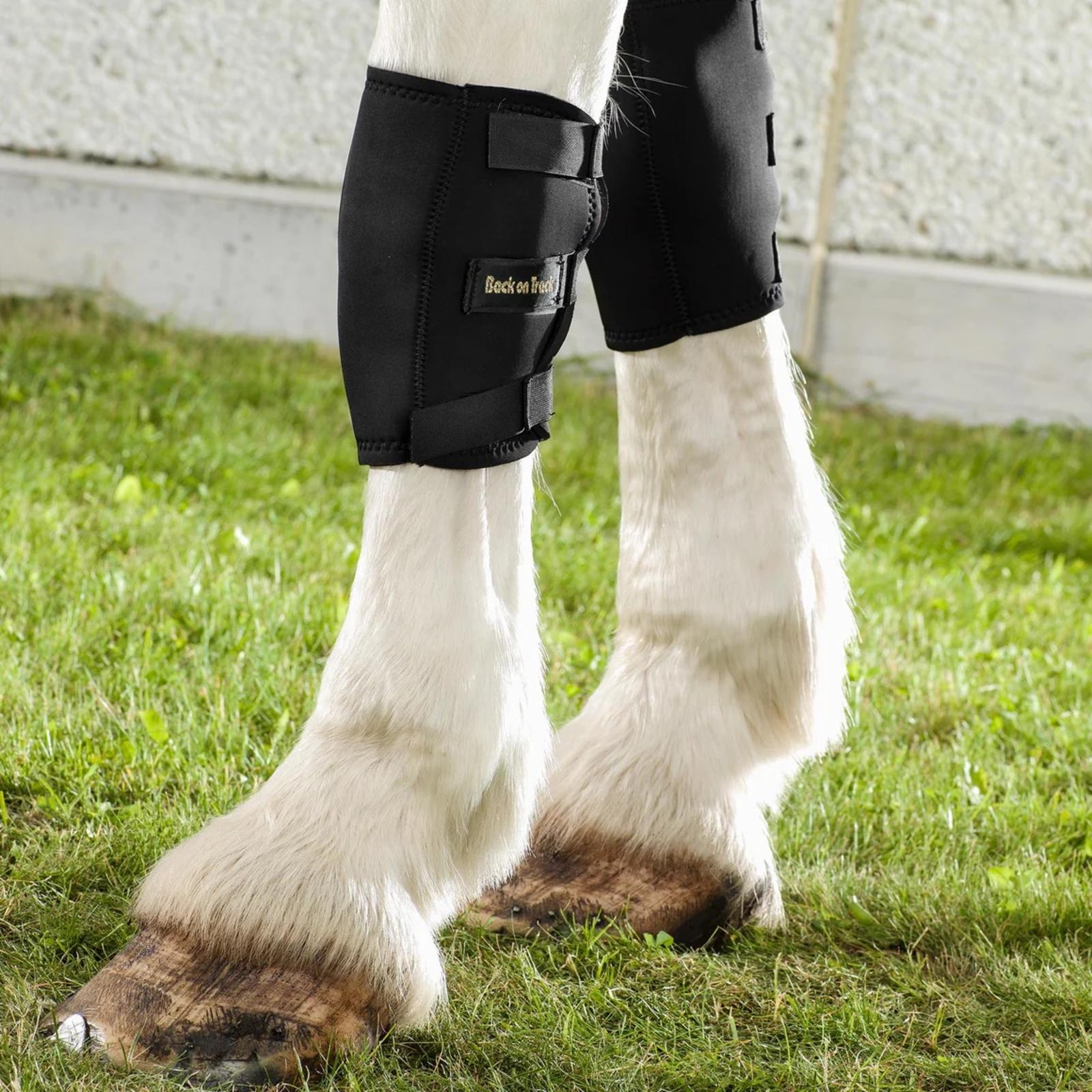 2037_Back_on_Track_Therapeutic_Horse_Knee_Boots_Lifestyle_-_Sold_in_Pairs_1160x_crop_center