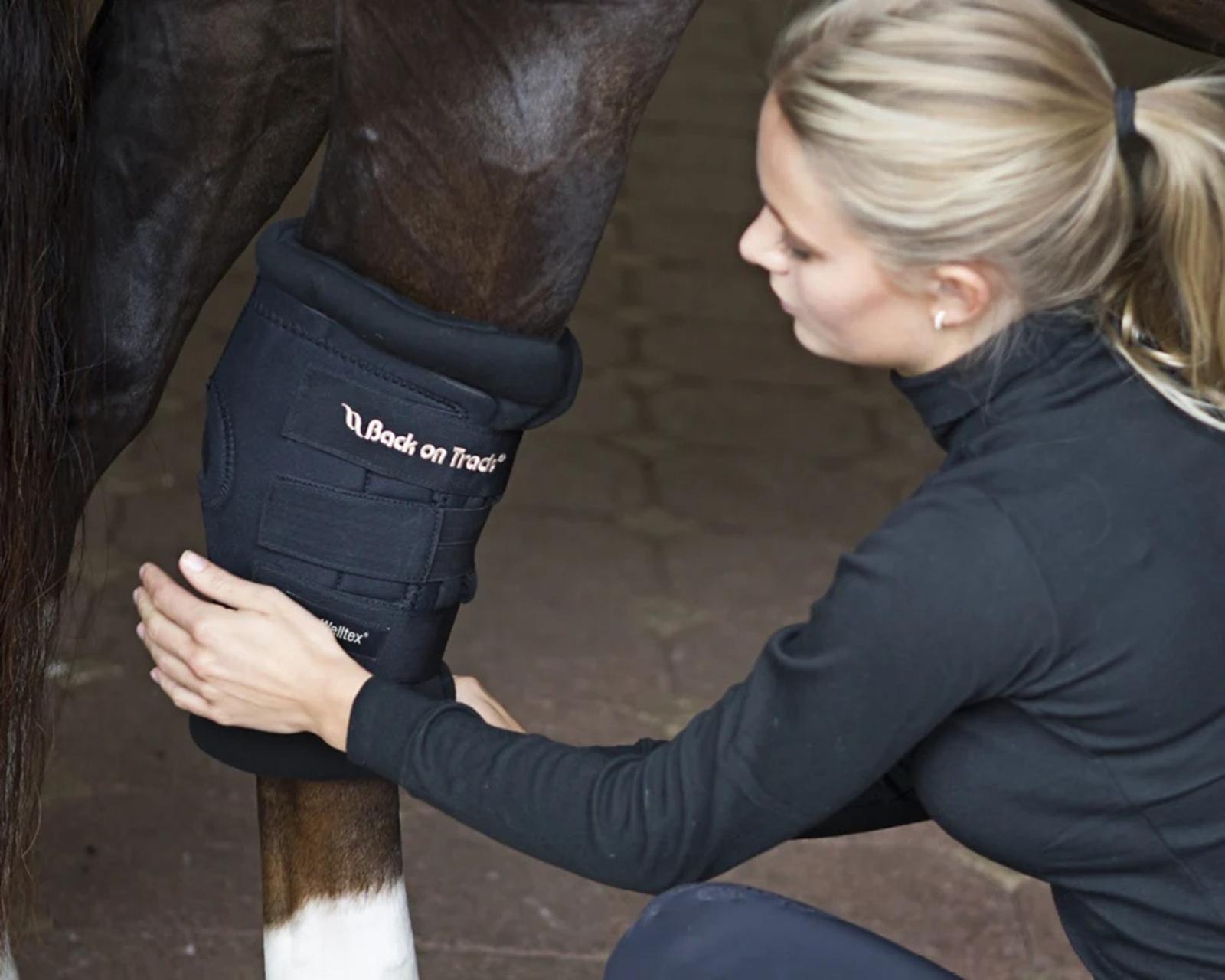 2023_Back_on_Track_Padded_Royal_Therapeutic_Horse_Hock_Boot_Lifestyle_1160x_crop_center