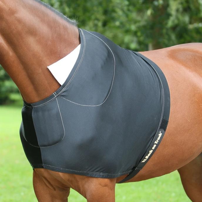 content/products/2300_Back_on_Track_Therapeutic_Horse_Padded_Shoulder_Guard_1160x_crop_center