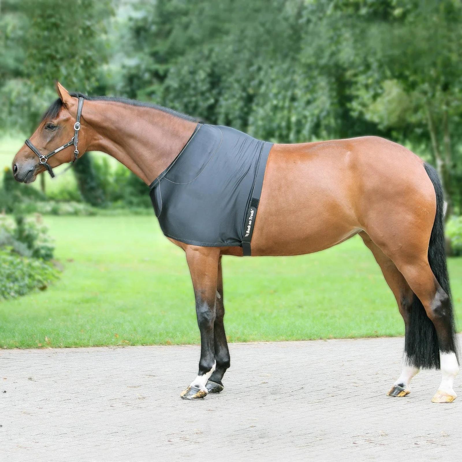 2300_Back_on_Track_Therapeutic_Horse_Padded_Shoulder_Guard_01_1160x_crop_center