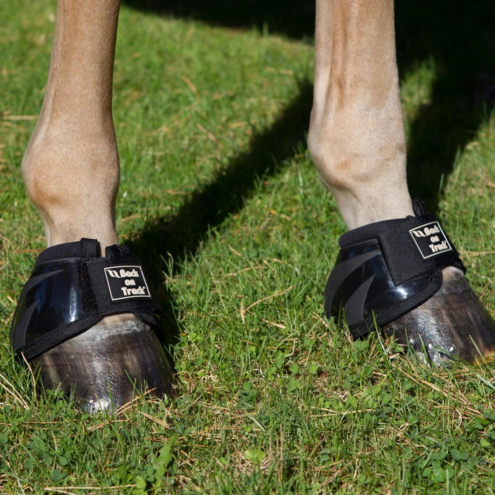 2071_Back_on_Track_Performance_Horse_Bell_Boots_Black_Lifestyle_1160x_crop_center