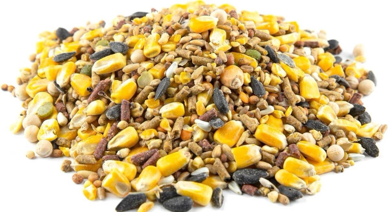 Whole Corn 14% Protein Gamebird & Poultry Grain Feed