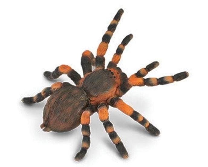 content/products/mexican-redknee-tarantula-model-breyer-707853_620x499