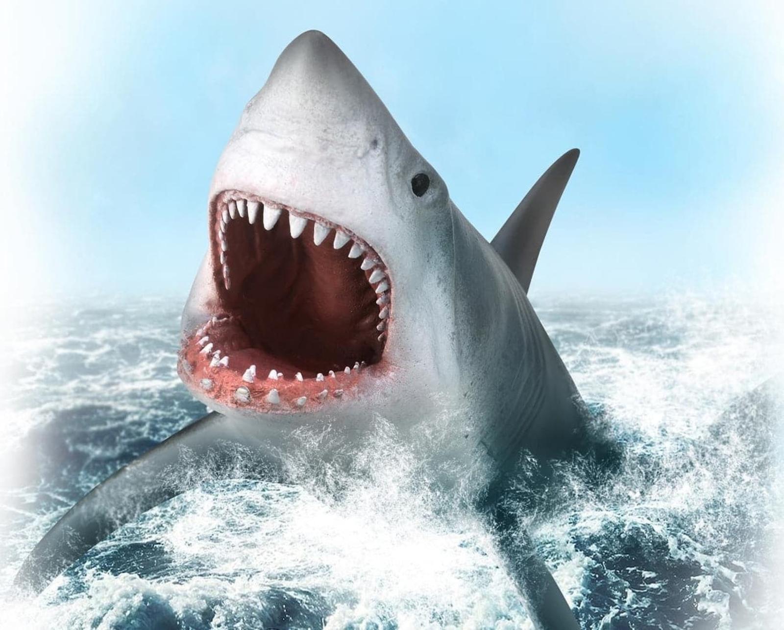 great-white-shark-model-breyer-421221_1240x998