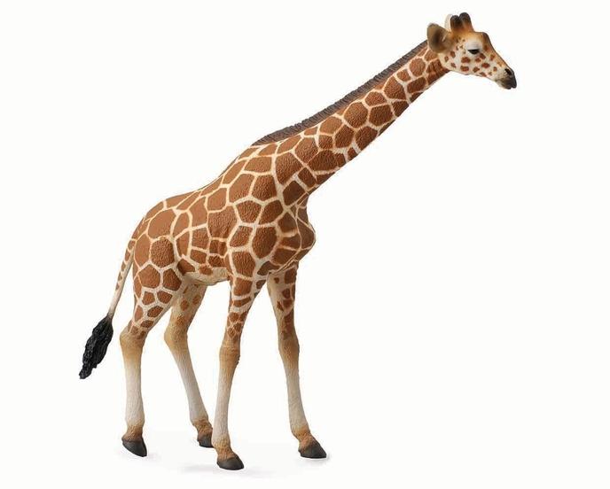 content/products/reticulated-giraffe-model-breyer-202385_1240x998