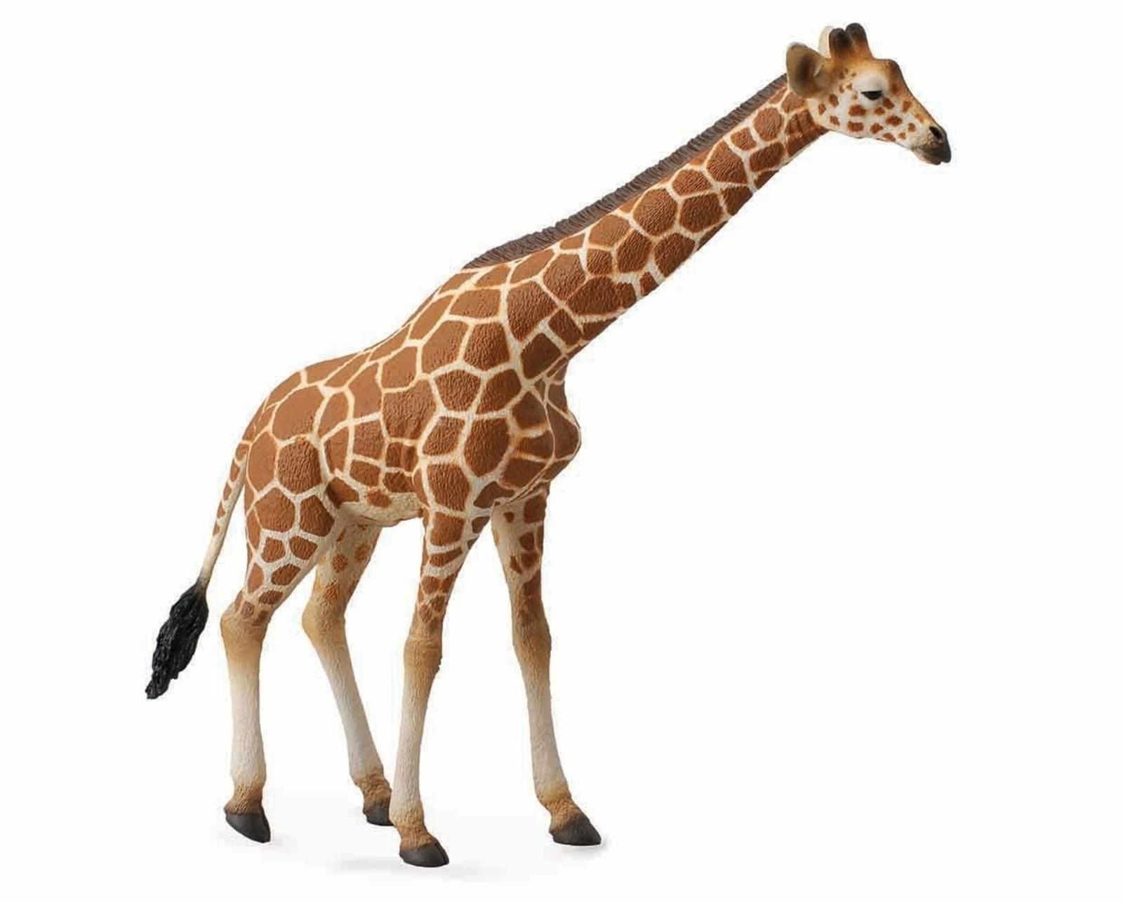 reticulated-giraffe-model-breyer-202385_1240x998