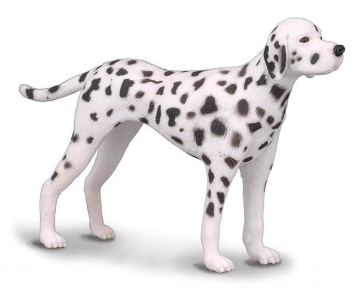 dalmatian-model-breyer-401583_620x499