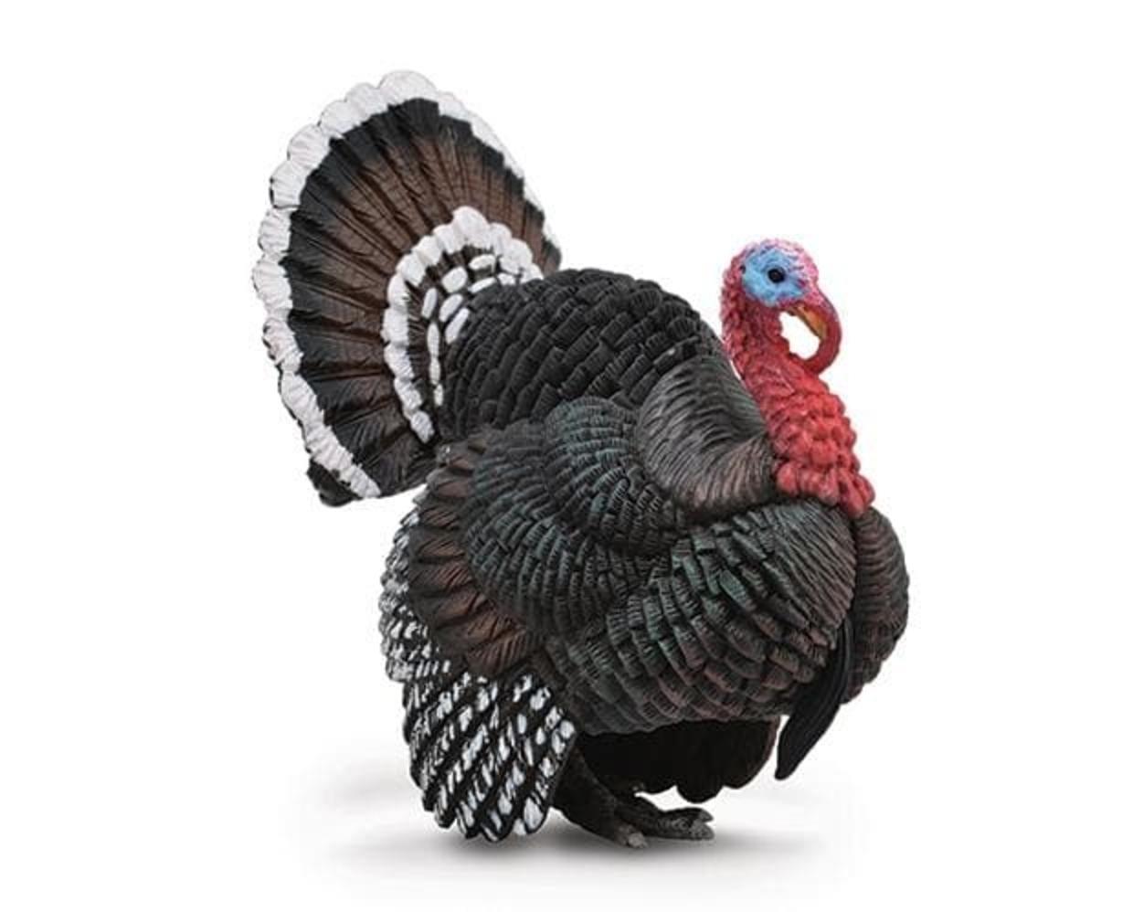 turkey-model-breyer-917659_620x499