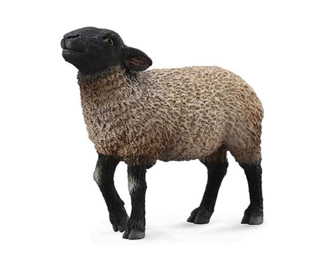 suffolk-sheep-model-breyer-527481_620x499