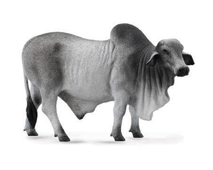 content/products/brahman-bull-model-breyer-821821_620x499