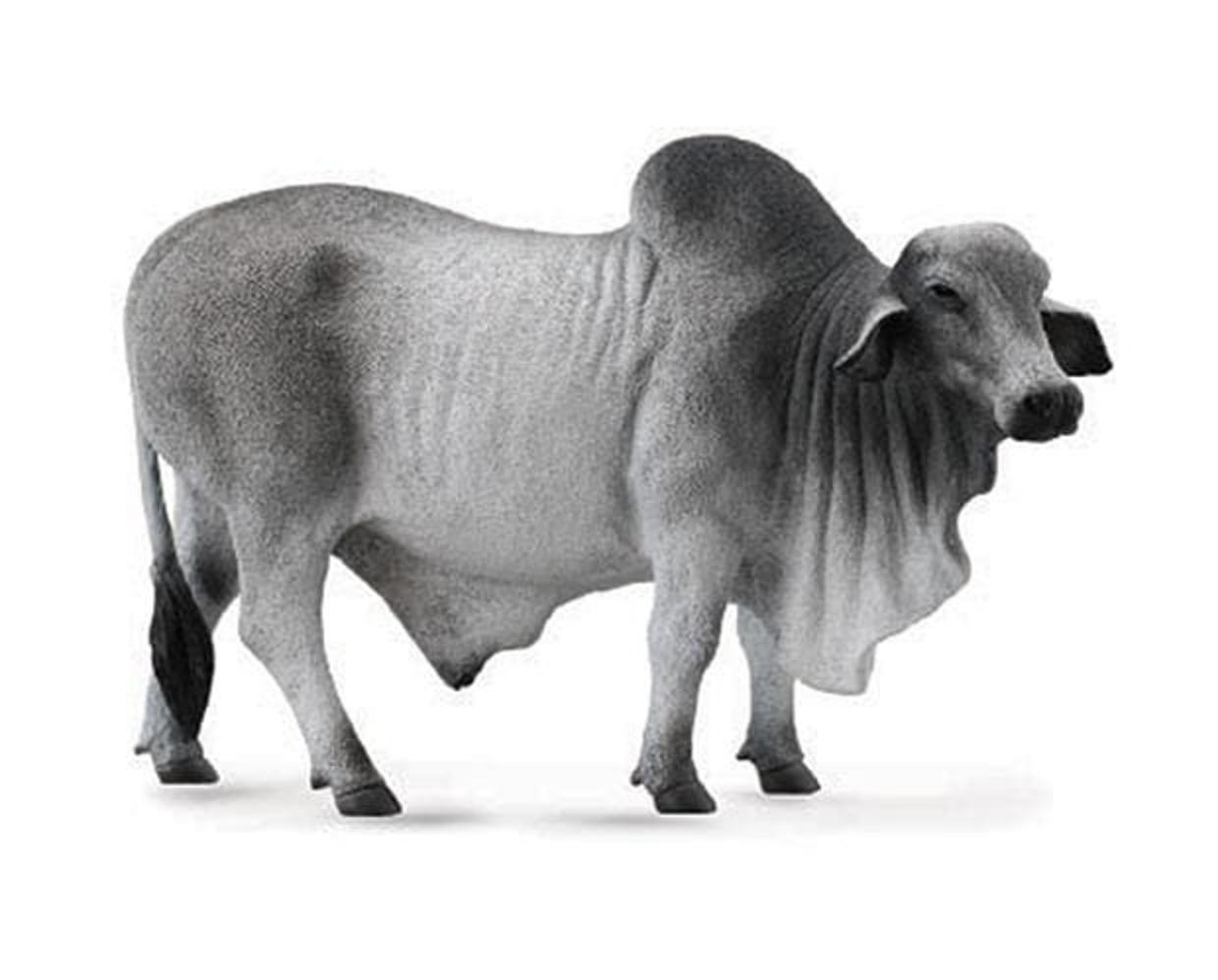 brahman-bull-model-breyer-821821_620x499