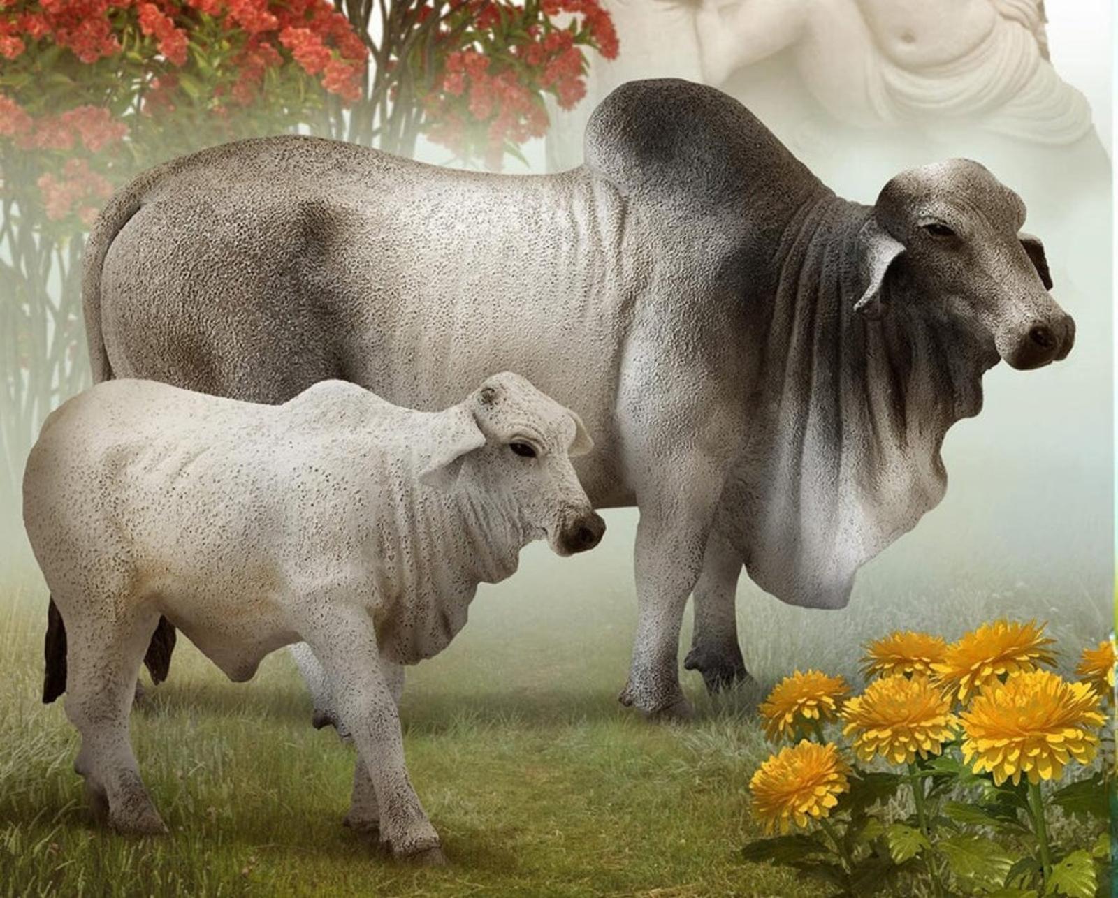 brahman-bull-model-breyer-986682_870x700