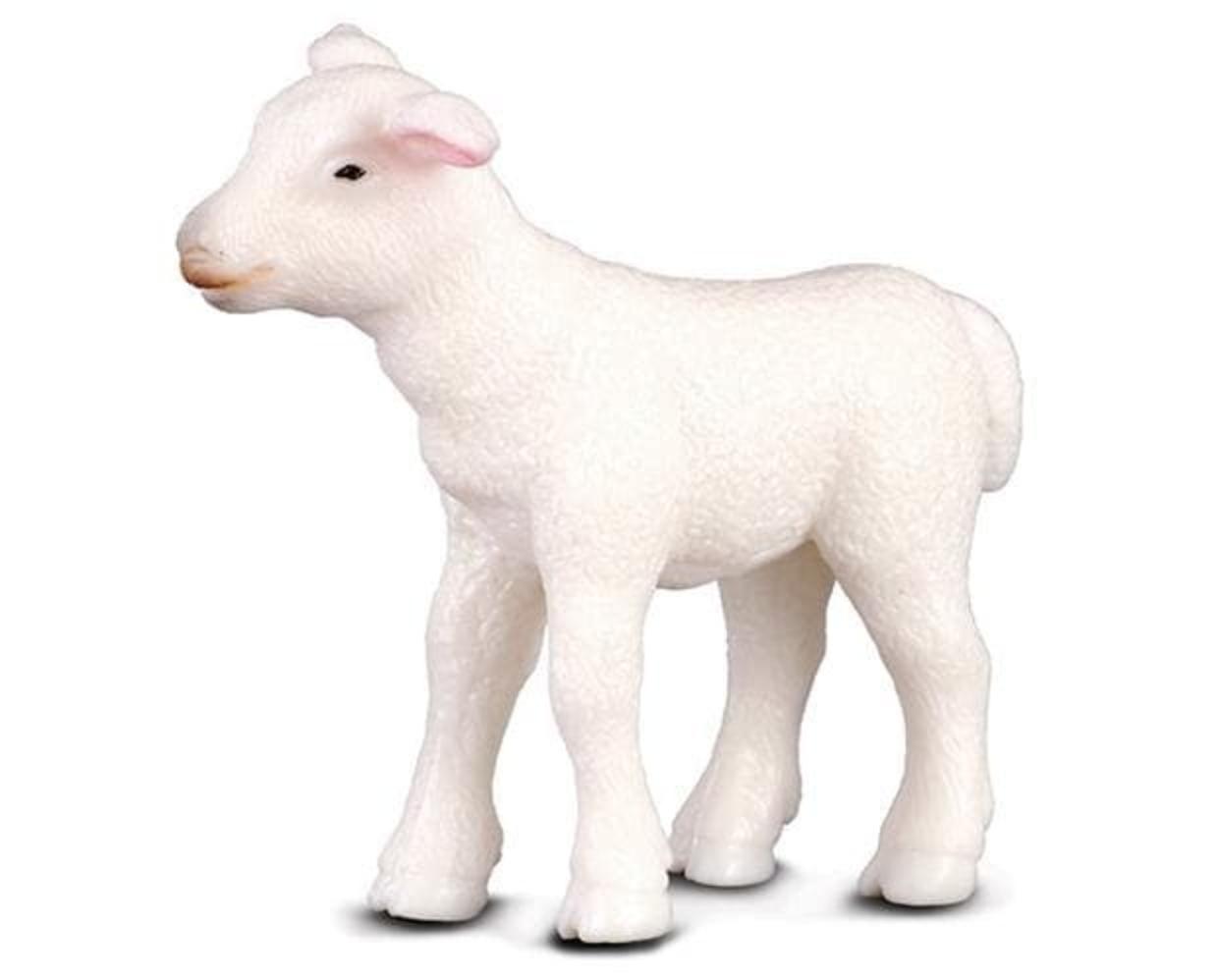 lamb-model-breyer-216097_620x499