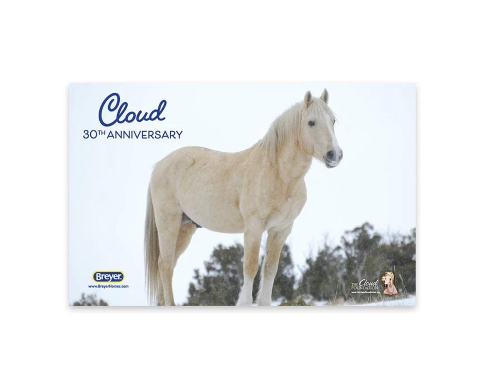 cloud-30th-anniversary-edition-model-breyer-426160_870x700